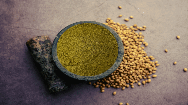 Coriander Powder
